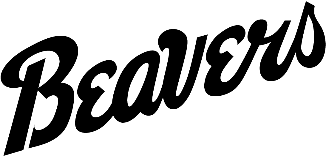 Bemidji State Beavers 2004-Pres Wordmark Logo v2 iron on transfers for clothing
